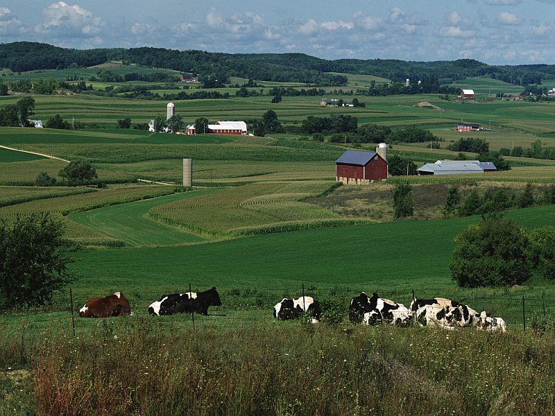 vida rural